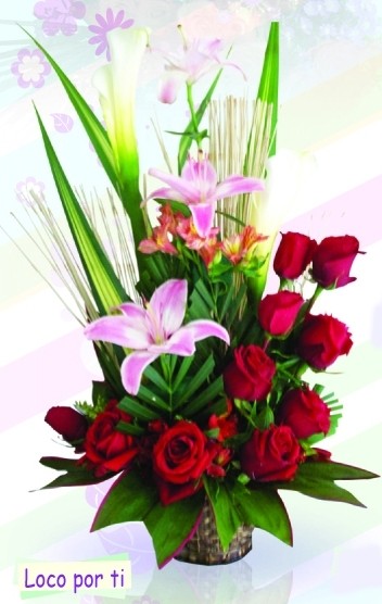loco por ti 