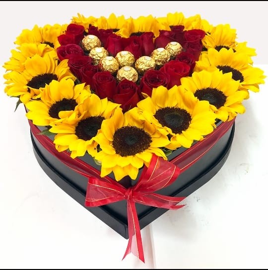 boxgirasol04