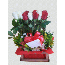 alegria roja y blanca