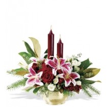 centro navideño especial 