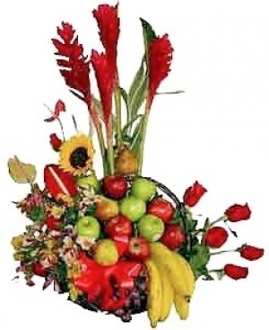 frutal tradicional 