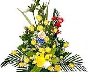 tradicional amarillo