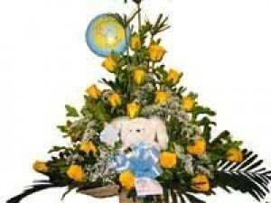 tradicional nacimiento 