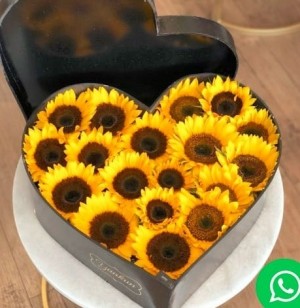 corazon girasol full