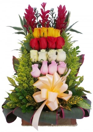 escalera de ternura 2