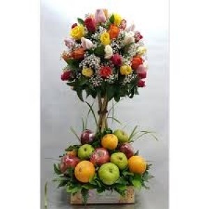 frutal especial 1 