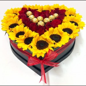 boxgirasol04